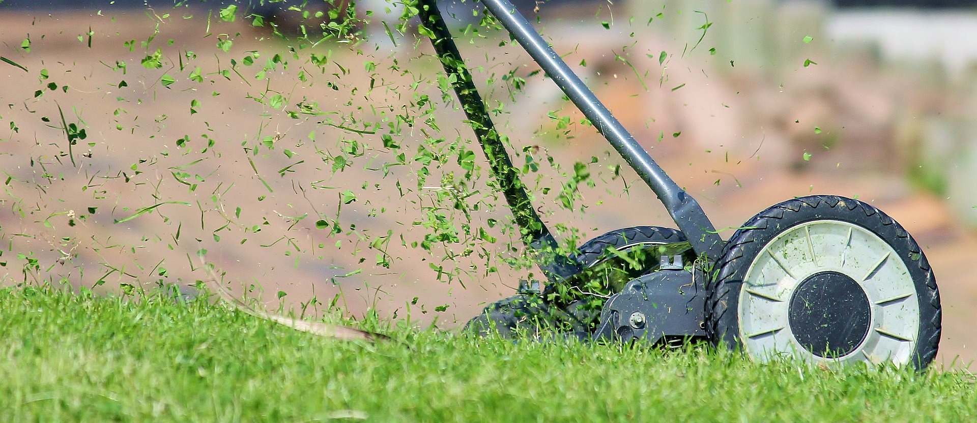 Handmower cutting lawn