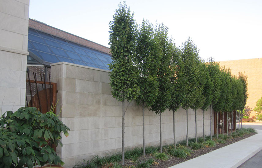 Fort Wayne Museum of Art exterior 3