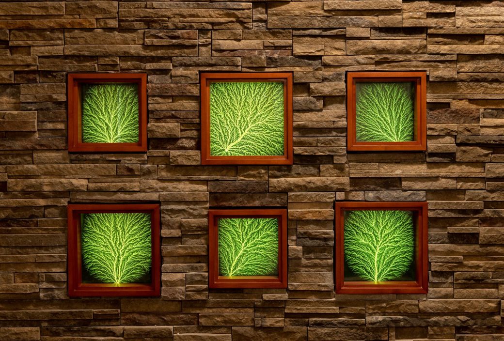 St. Vincent Cancer Center Lighted Wall Panels Closeup on Stone Wall