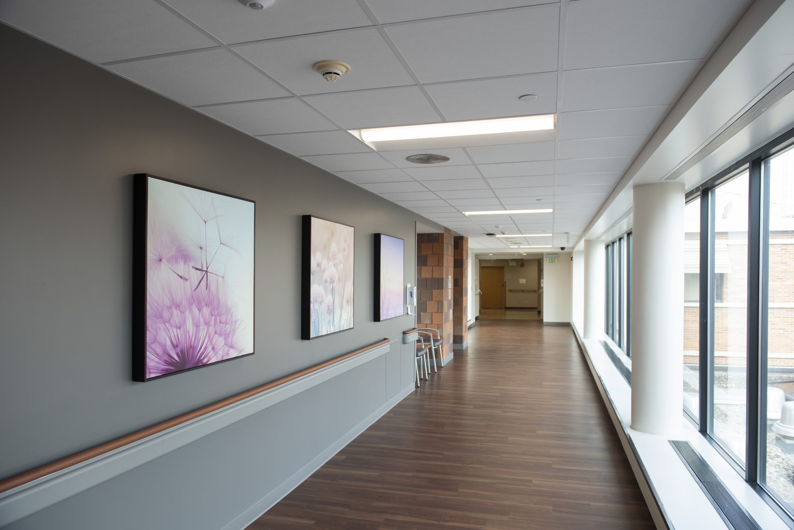 St. Vincent Mercy Hospital Hallway with artwork of flowers on the wall