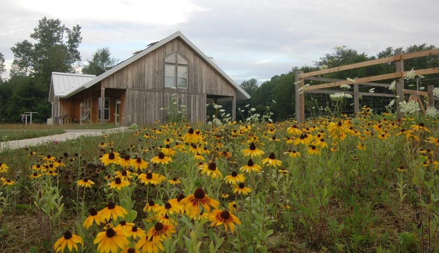 Merry Lea Environmental Learning Center Garden with yellow flowers